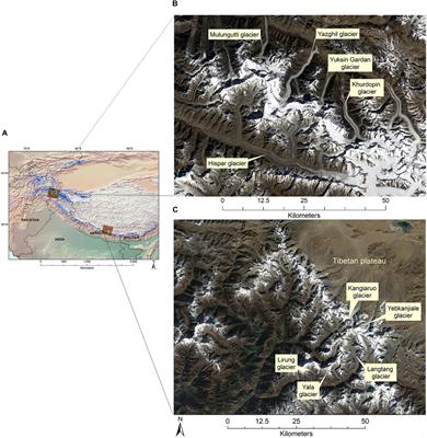 An Automated Approach for Estimating Snowline Altitudes in the Karakoram and Eastern Himalaya From Remote Sensing